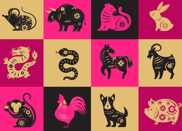 Discover the 12 Animals of the Chinese Zodiac