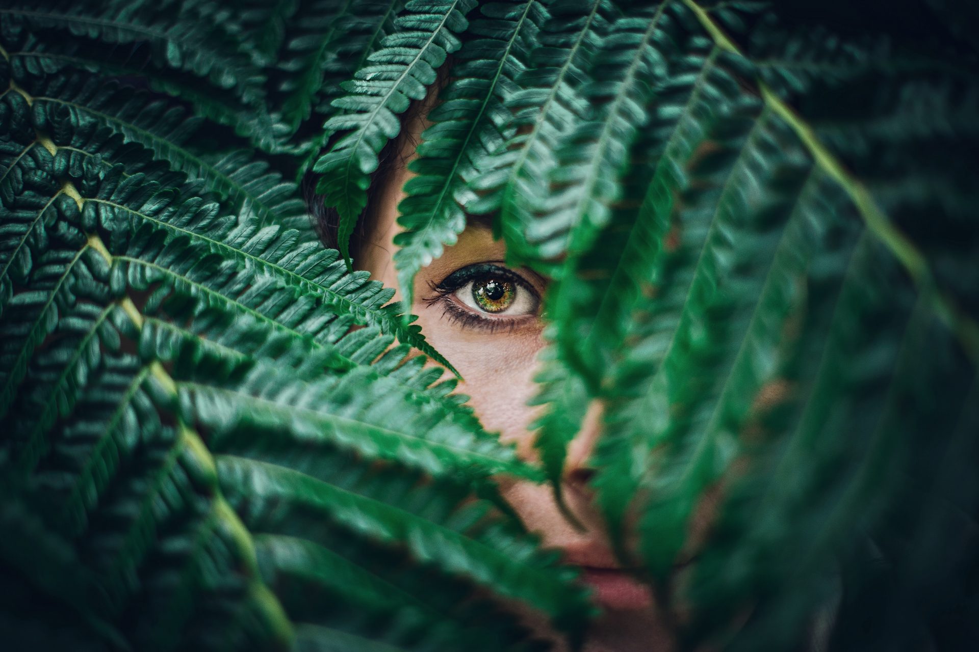 Green Witch: Exploring the Different Types of Witches