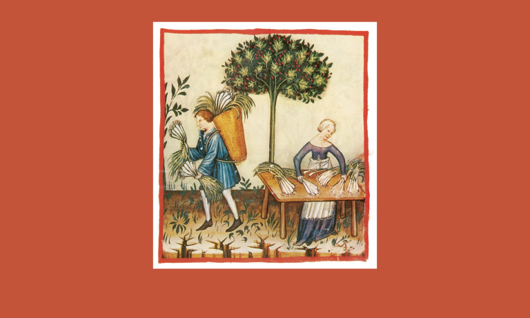 Witch Herbs 101: Commonly Used Plants in Witchcraft