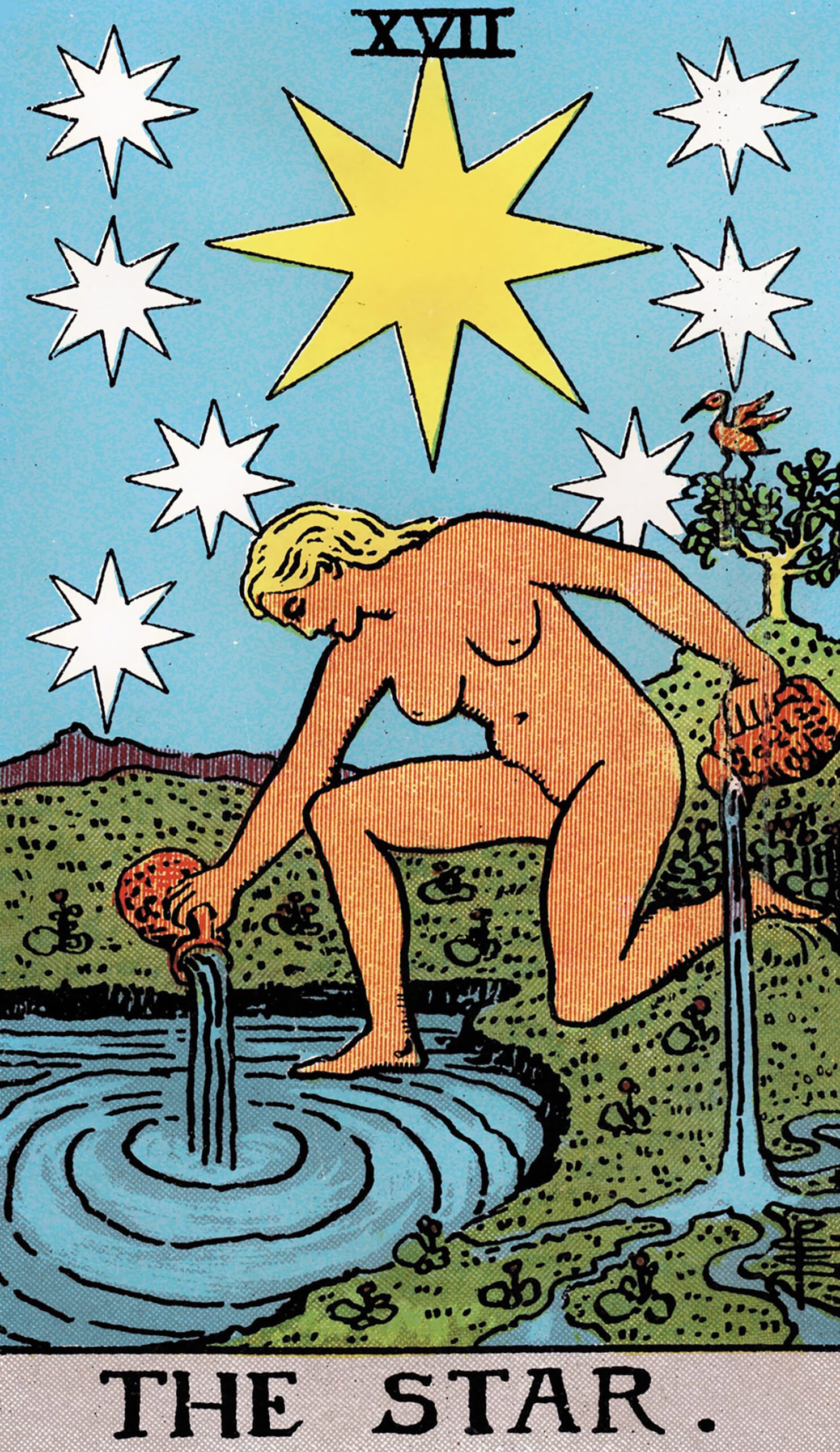 card-55