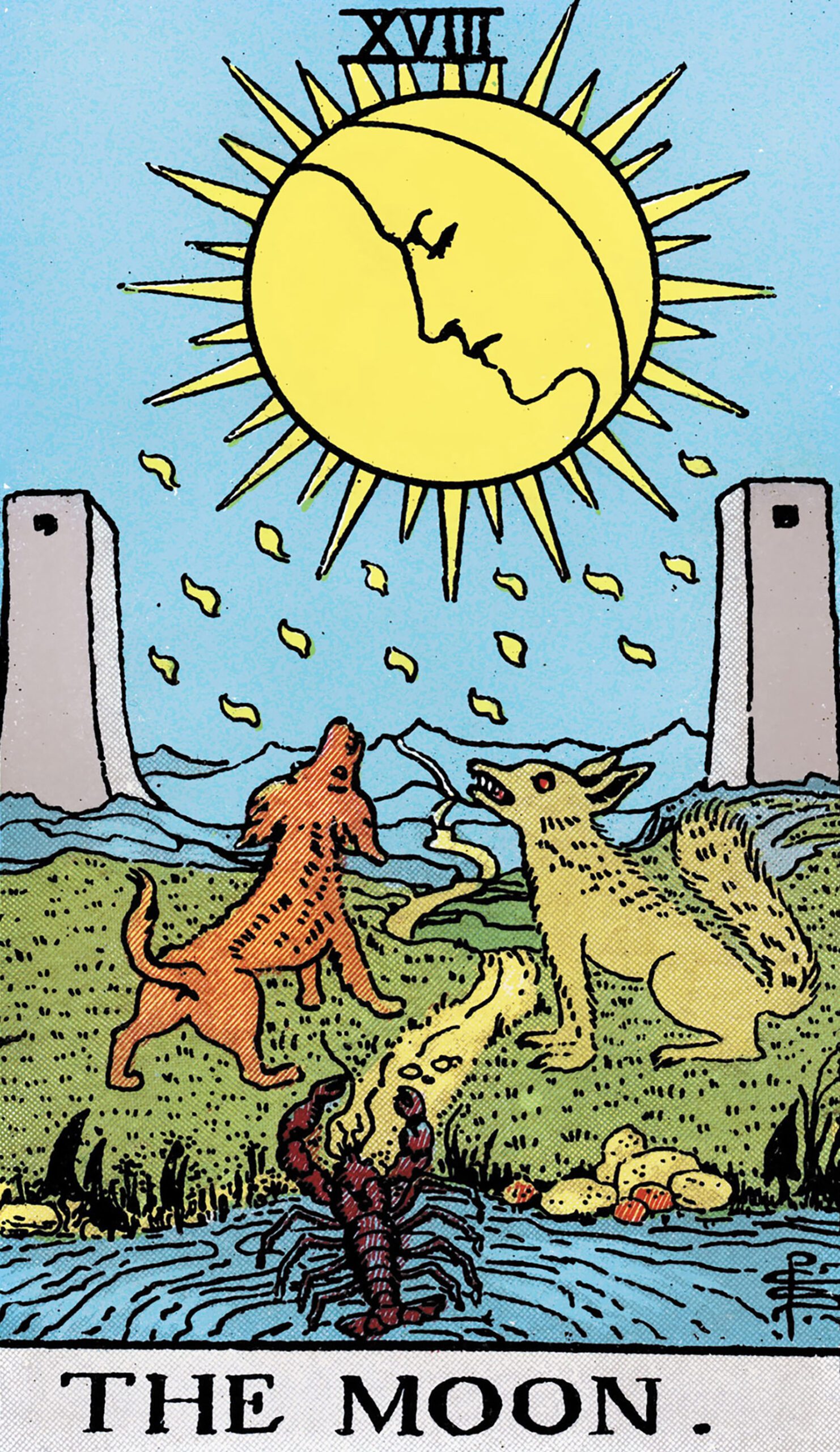 card-62