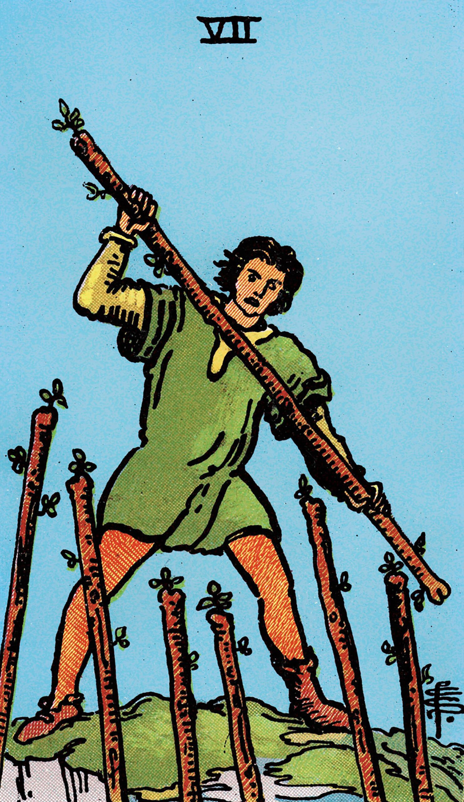 card-6