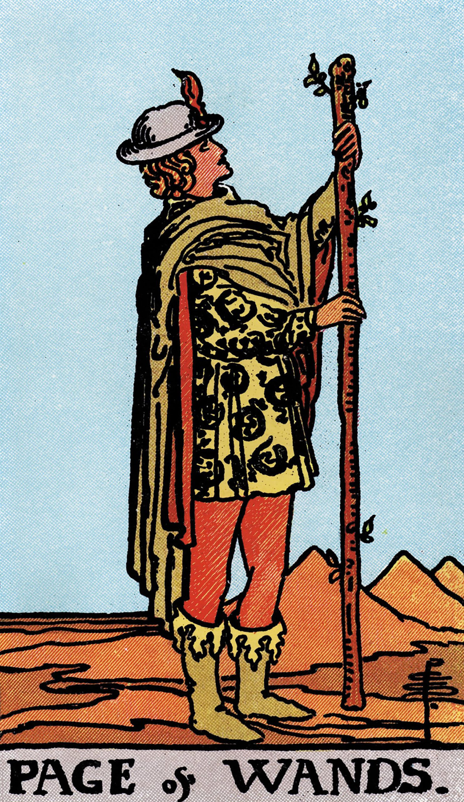 card-17