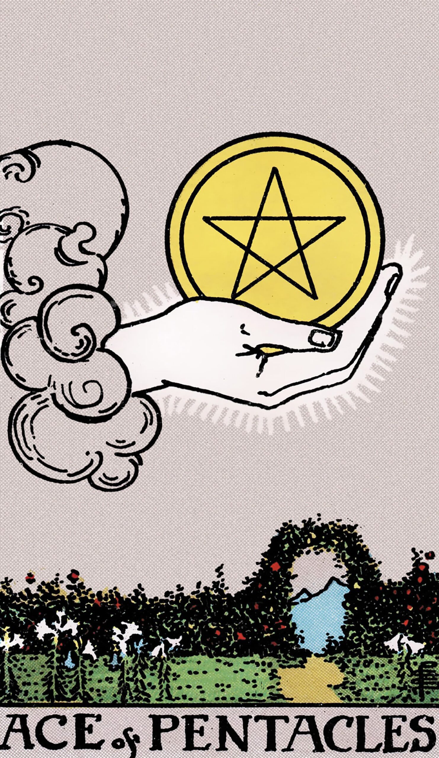 card-74