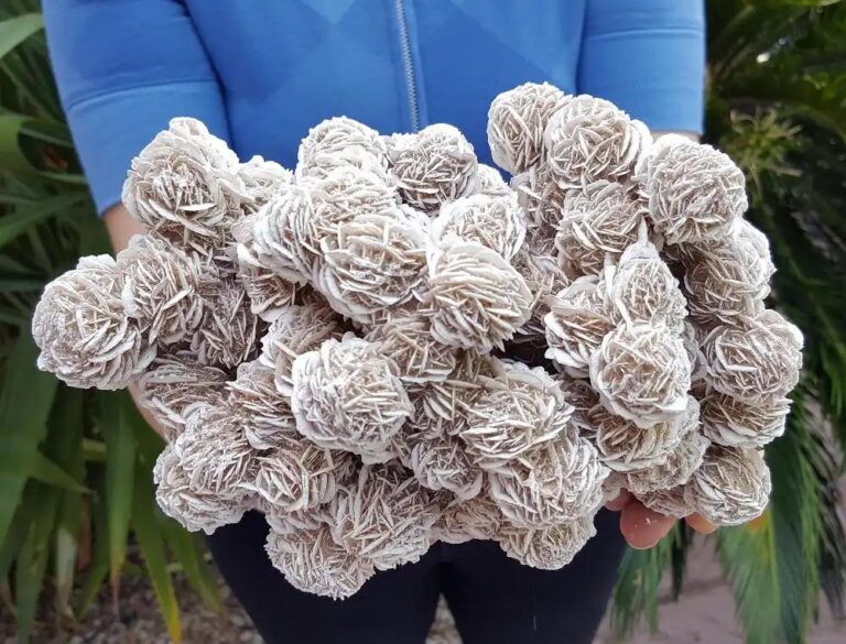 Desert Rose Crystal: The Mysterious Gem of the Dunes