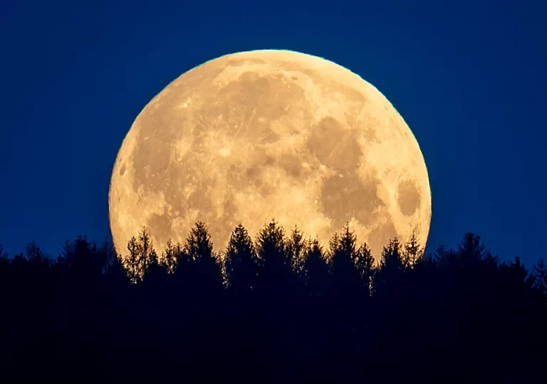All You Need to Know About the Full Moon: A Guide to Lunar Symbolism