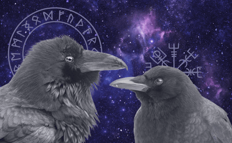 Crow vs Raven: Two Sides of the Same Feather